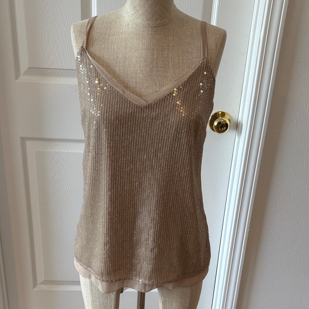 White House Black Market Sequin-Trim Taupe Camisole.,fully lined. size XS
